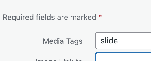 Screenshot indicating where to add a slide tag